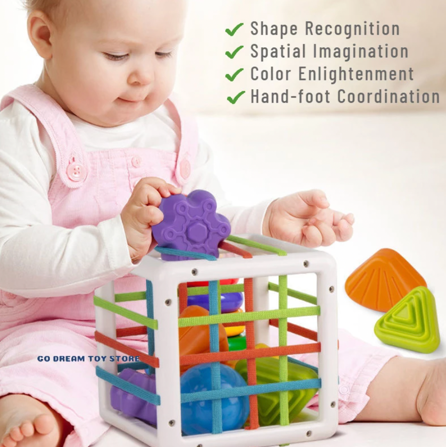 Blocs de tri de formes Montessori